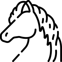 cheval cheval