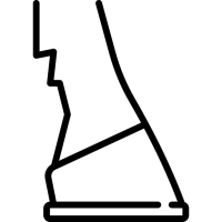cheval patte