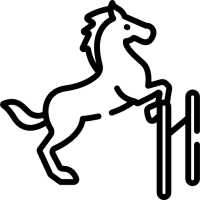 cheval saut