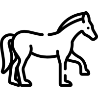 cheval maniabilite