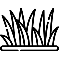 paturage