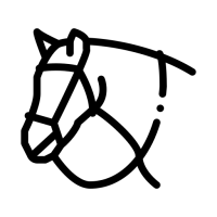 animal (1)