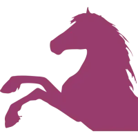 silhouette de cheval silhouette de cheval